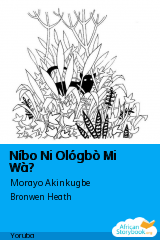 Níbo Ni Ológbò Mi Wà? cover