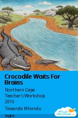 Cover of Crocodile Waits For Brains by Northern Cape Teacher's Workshop 2016