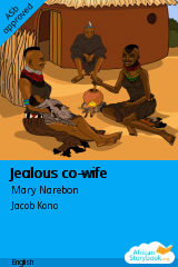 Cover of Jealous co-wife by Mary Narebon