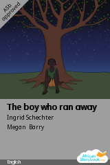 Cover of The boy who ran away by Ingrid Schechter