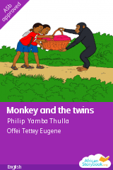 Cover of Monkey and the twins by Philip Yamba Thulla