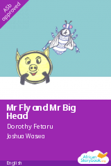 Cover of Mr Fly and Mr Big Head by Dorothy Fetaru