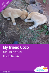 Cover of My friend Coco by Ursula Nafula