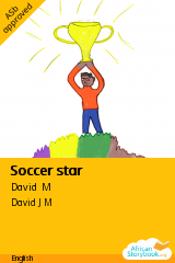 Cover of Soccer star by David M