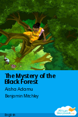 Cover of The Mystery of the Black Forest by Aisha Adamu