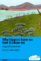 Cover of Why Hippos have no hair (Colour-in) by Basilio Gimo, David Ker