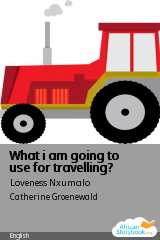 Cover of What i am going to use for travelling? by Ursula Nafula