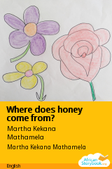 Cover of Where does honey come from? by Martha Kekana