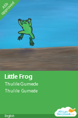 Cover of Little Frog by Thulile Gumede