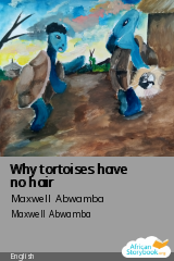 Cover of Why tortoises have no hair by Maxwell Abwamba