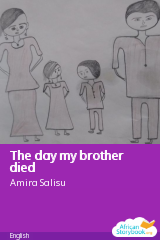 Cover of The day my brother died by Amira Salisu