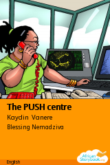 Cover of The PUSH centre by Kaydin Vanere