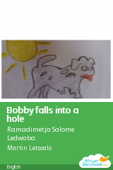 Cover of Bobby falls into a hole by Ramadimetja Salome Ledwaba