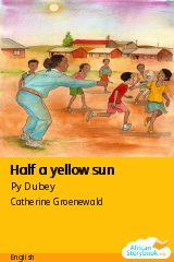 Cover of Half a yellow sun by Py Dubey