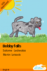 Cover of Bobby falls by Salome Ledwaba