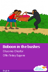 Cover of Baboon in the bushes by Oluoma Okafor