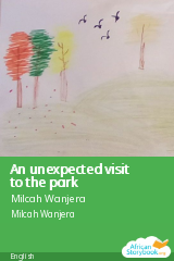 Cover of An unexpected visit to the park by Milcah Wanjera