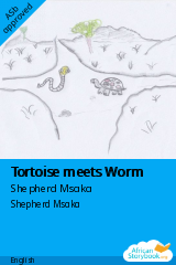 Cover of Tortoise meets Worm by Shepherd Msaka