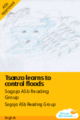 Cover of Tsanzo learns to control floods by Sogoja ASb Reading Group
