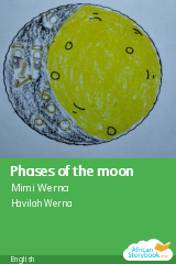 Cover of Phases of the moon by Mimi Werna