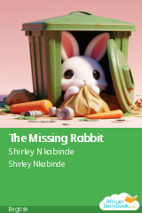 Cover of The Missing Rabbit by Shirley Nkabinde