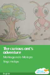 Cover of The curious ant's adventure by Mahlogonolo Molopo
