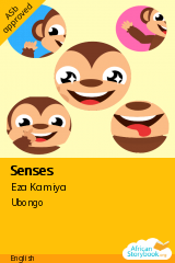 Cover of Senses by Ubongo