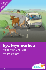 Ivyo, Iwya man Bua cover
