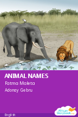 Cover of ANIMAL NAMES by Fatma Maleta