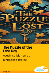 Cover of The Puzzle of the Lost Key by Abednico Mahlangu