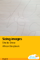 Cover of Sizing images by Sheila Drew
